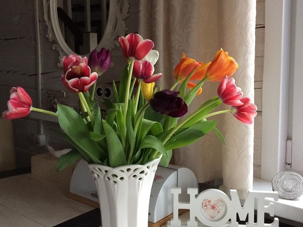 Brighten up the room with fresh flowers