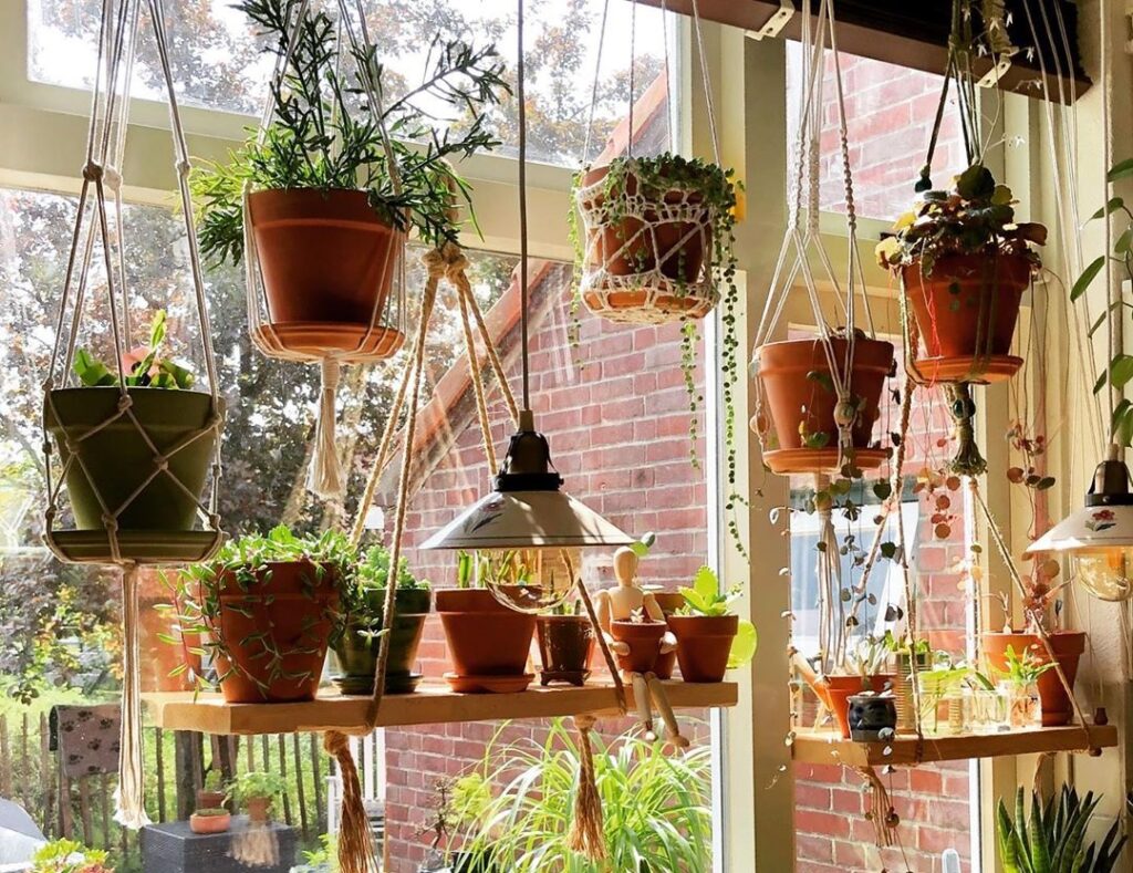 Hang lots of plants