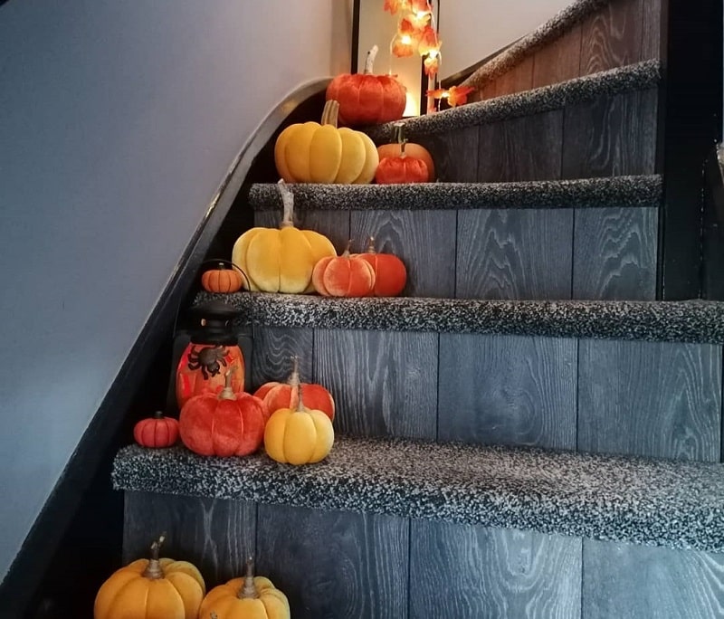 Highlight The Pumpkins