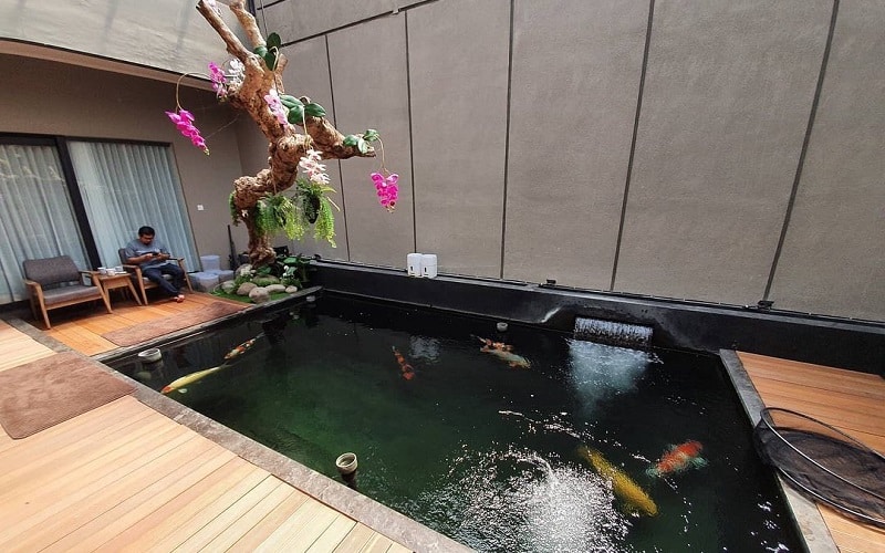 Create Koi Pond