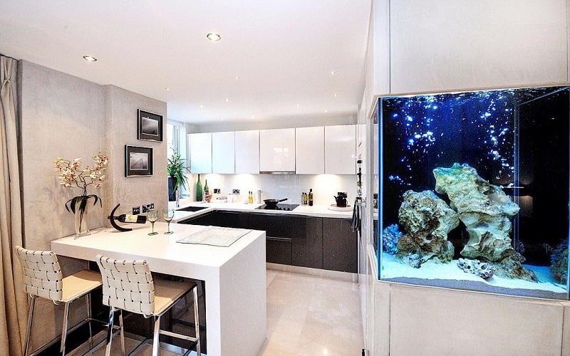 Indoor Fish Tank