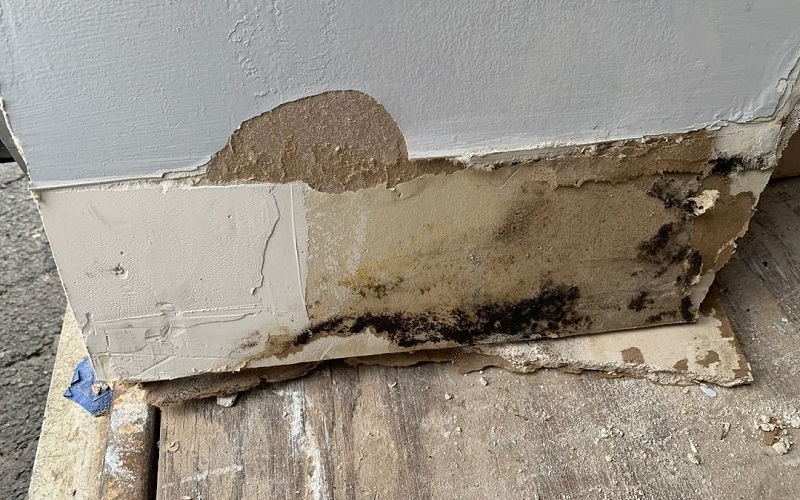 Mold prevention