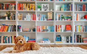 How to Enhance Aesthetics at Home Library