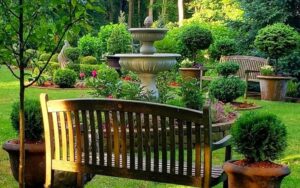 Tips To Transform Your Garden Look