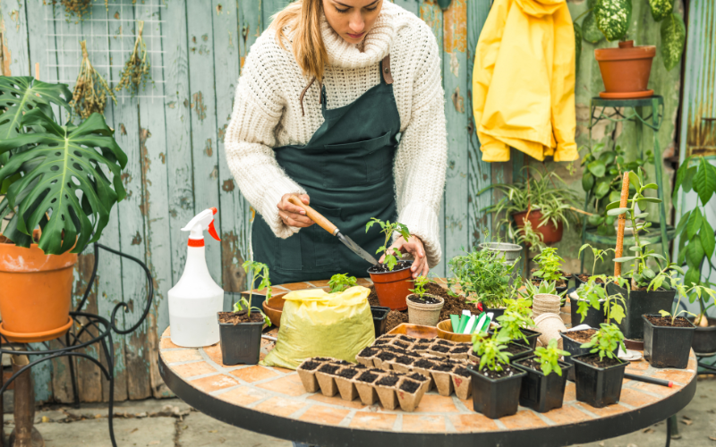 Maximize Your Garden Space with Clever Planting Techniques