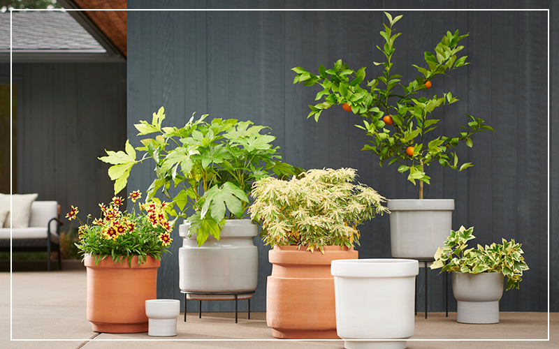 How to Choose Outdoor Planters That Withstand All Seasons